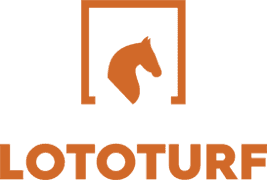 Lototurf